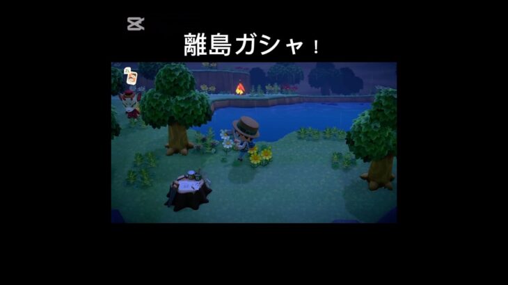 あつ森　離島ガシャ　まさかの神…