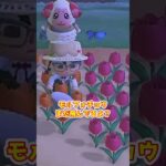 【あつ森】≪カンストをめざす≫　捕まえるのは１０００ベル以上　　　　　　　　　　 #あつ森 #ゆっくり実況 #あつまれどうぶつの森