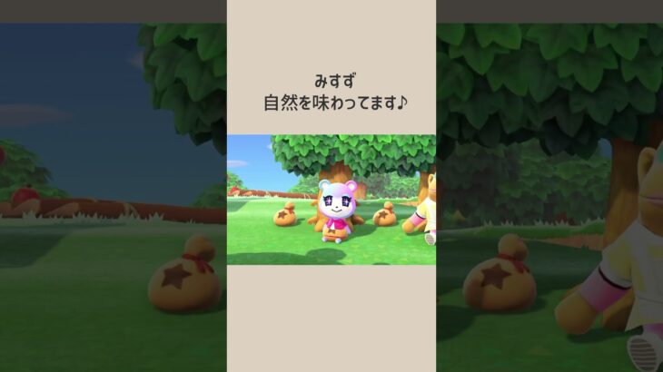 【あつ森】お金と同化したみすず！