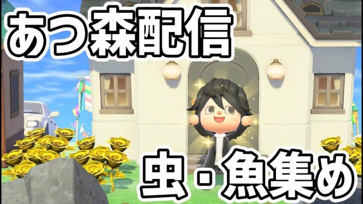 【あつ森配信】虫や魚を集めて博物館に寄贈する！