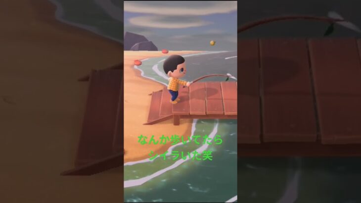 【あつ森】なんか歩いてたらシイラいました笑