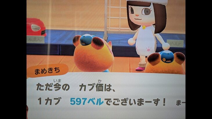 【あつ森】カブ５９７島開放中！誰でも自由に来てください！