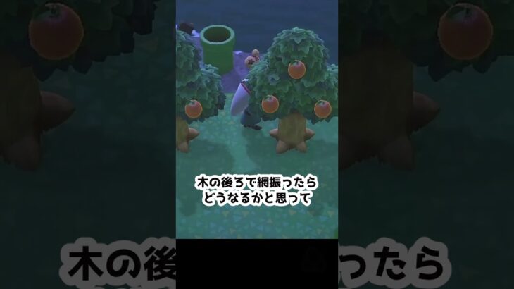 【あつ森】　🦂サソリと２番勝負🦂　　　　　　　　 #ゆっくり実況 #あつ森　 #あつまれどうぶつの森