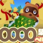 【あつ森】あなたの島に行くだなも