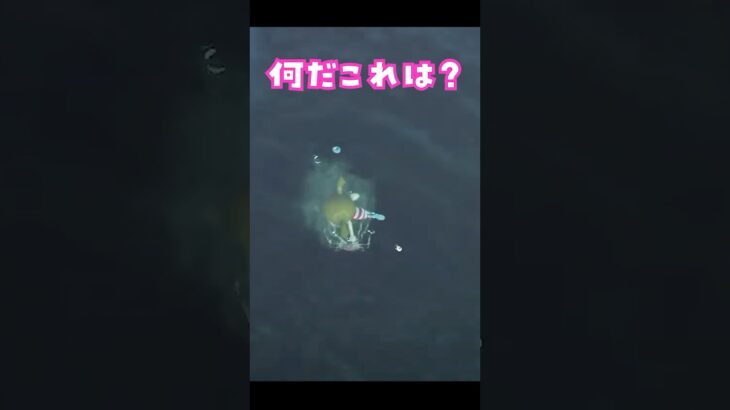 【あつ森】海の幸のラスボス！？コンプなるか？ #あつ森 #あつまれどうぶつの森 #タカアシガニ