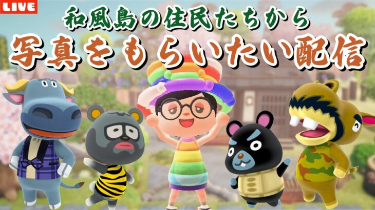 【あつ森】今日で最終回！和風島の住民から写真をもらうミニ耐久配信！【あつまれ どうぶつの森】