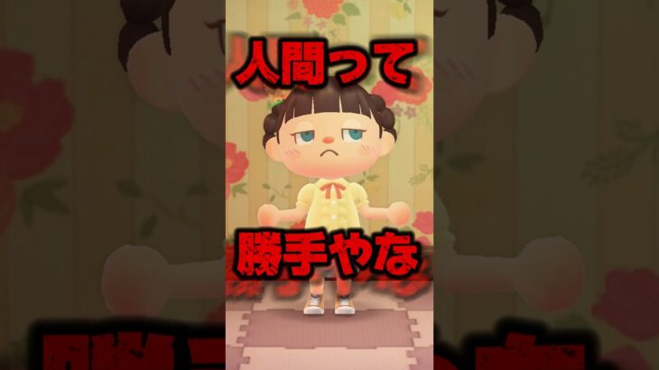 ラブコメ恋愛漫画あるあるを語るパパ/あつ森アニメ#あつまれどうぶつの森