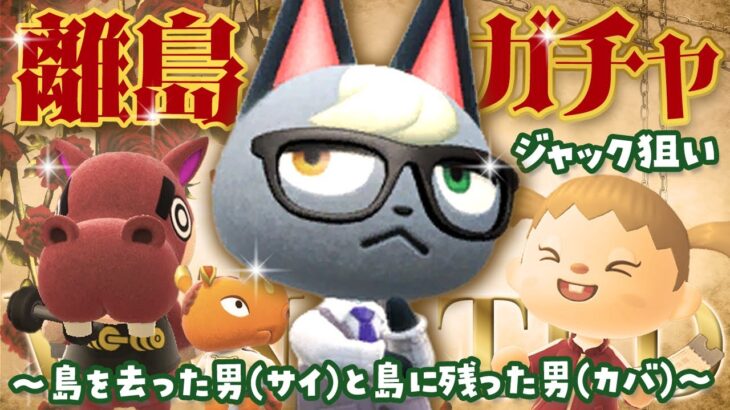 【あつ森】ジャック探しの離島ガチャをしよう！【あつまれ どうぶつの森】