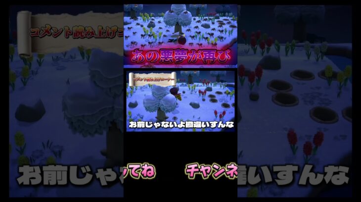 皆さんコメントありがとうございます！#あつまれどうぶつの森 #あつ森 #どうぶつの森 #ゲーム実況 #ゲーム