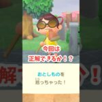 【あつ森】落し物クイズ！今回こそ正解できのか！？ #あつ森 #あつ森日記 #あつまれどうぶつの森