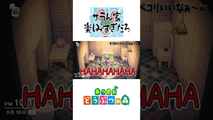 【あつ森】勝手に寝るしトイレかますし雑談も楽しむ#サラ#隣人ガチャ#あつ森