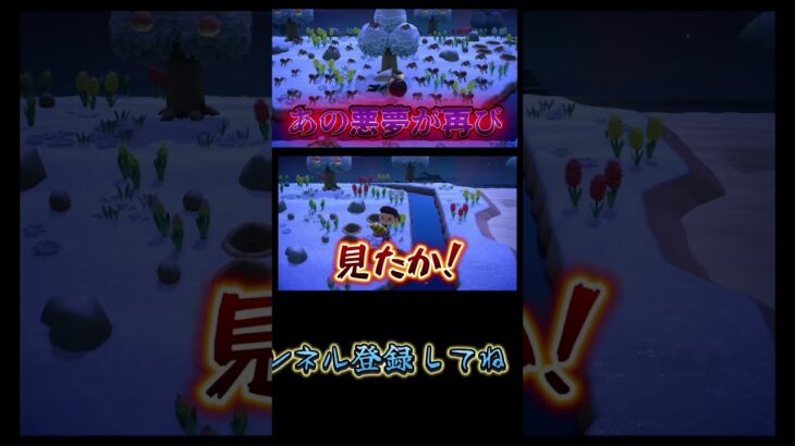ズル賢い蜘蛛は嫌いだよ#あつまれどうぶつの森 #あつ森 #どうぶつの森 #ゲーム実況 #ゲーム