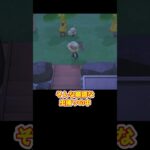 【あつ森】≪虫捕り企画≫衝撃の事実に編集中気付く…　　　　　　　　　　 #あつ森 #あつまれどうぶつの森