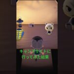 【あつ森】キャンプサイトに行ってみた結果！？