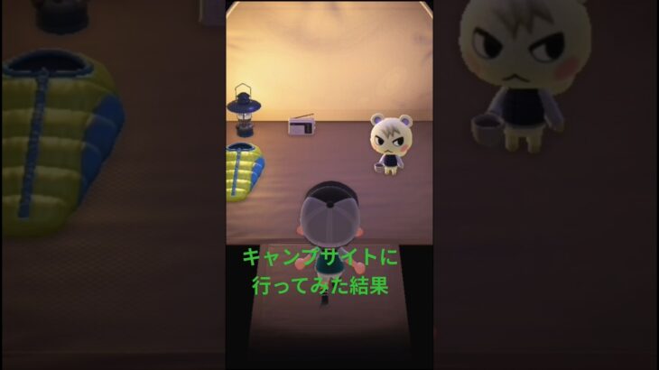 【あつ森】キャンプサイトに行ってみた結果！？