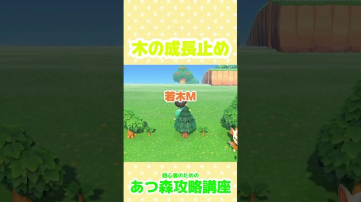 木の成長止め     #あつ森 #あつまれどうふつの森 #あつ森攻略講座＃あつ森裏技 ＃あつ森島クリ＃あつ森レイアウト