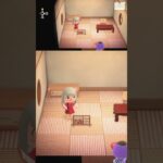 【ついたて】ってなに😇 #ゲーム実況 #あつ森 #あつまれどうぶつの森