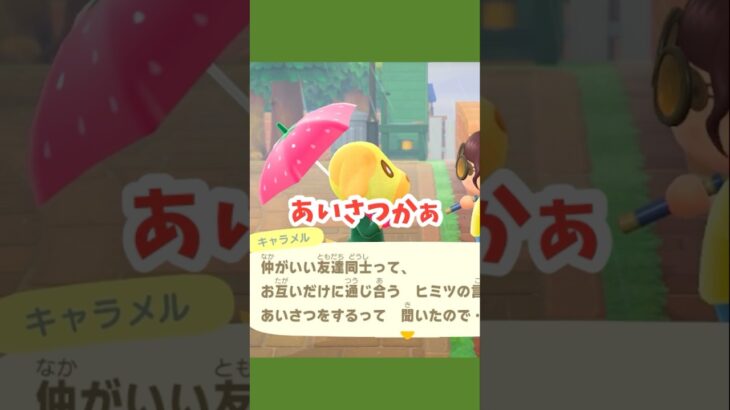 【あつ森】うん！女子のあいさつと言えばこれだね✨️（がんばろう・・・） #あつ森 #あつ森日記 #あつまれどうぶつの森