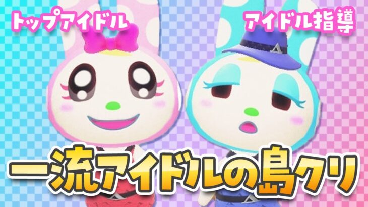 【あつ森】クリスチーヌとフランソワ姉妹の一流アイドルの家を島クリエイト【あつまれどうぶつの森】