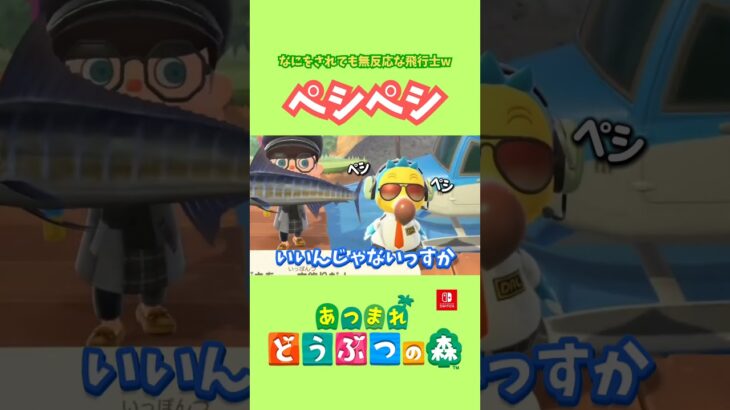 ペシペシされてもポリポリしちゃう飛行士【あつ森】