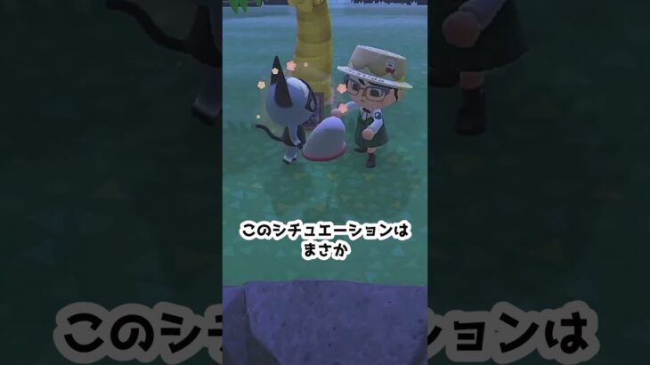 【あつ森】≪虫捕り企画≫あんなに笑ってたじゃないか（涙）　　　　　　　　　 #あつまれどうぶつの森