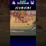 【あつ森】バッチバチ！