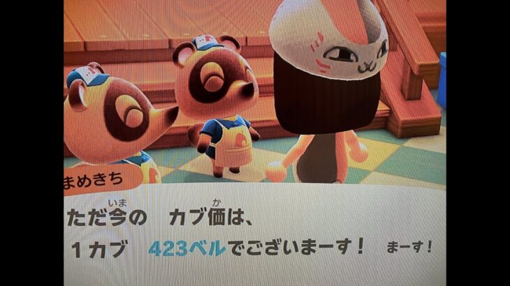 【あつ森】カブ４２３島開放中！誰でも自由に来てください！