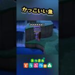 この魚知ってる！？かっこよすぎる！【あつ森】