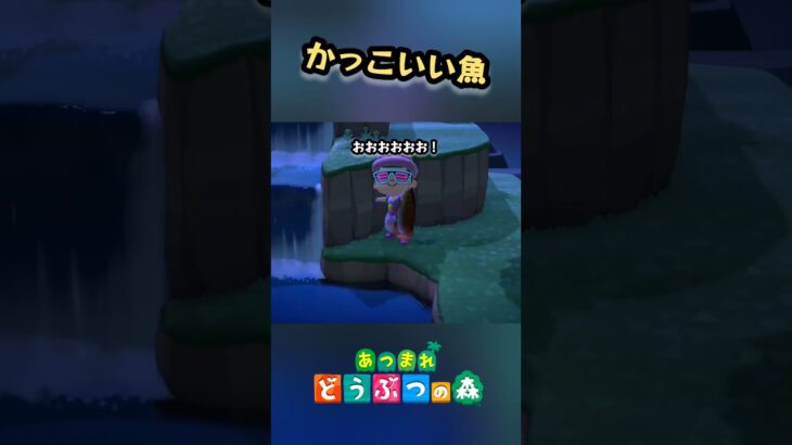 この魚知ってる！？かっこよすぎる！【あつ森】