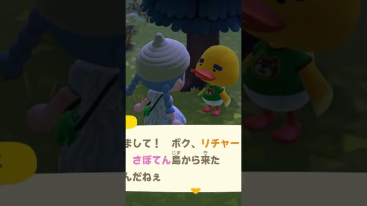 住民厳選 #あつ森 #あつまれどうぶつの森 #ゲーム実況