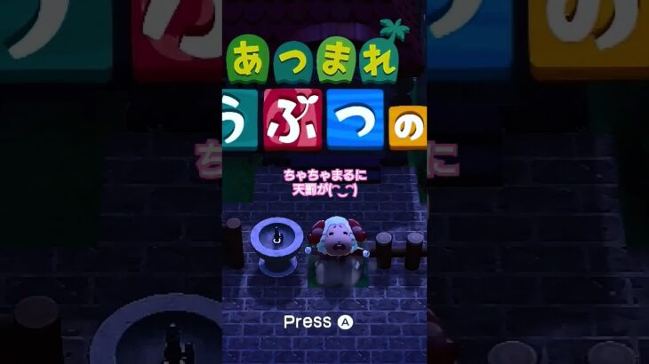 #あつ森 #ちゃちゃまる #落とし穴レース