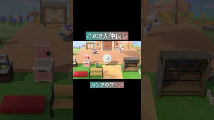 住民観察　あつ森生活日記 #あつ森