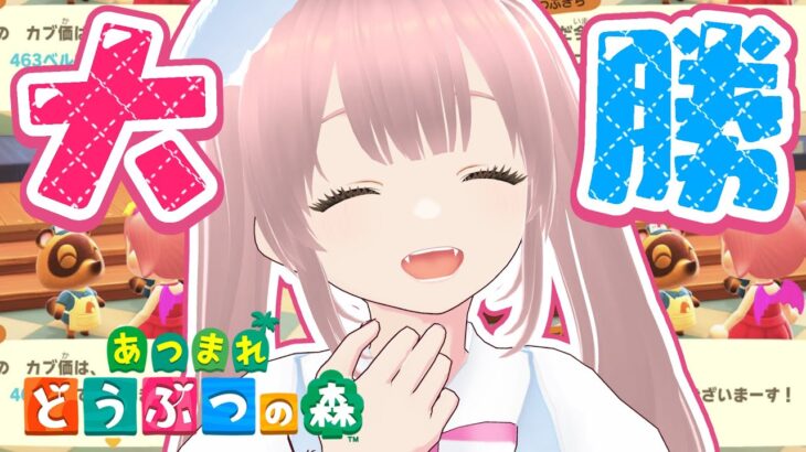 【あつまれ どうぶつの森】博物館のスタンプラリーして離島行く！【初心者あつ森】