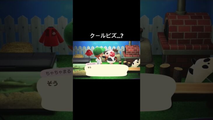 料理するために着たんじゃないのか[あつ森]