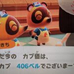 【あつ森】カブ４０６島開放中！誰でも自由に来てください！