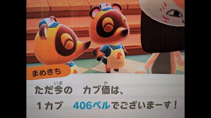 【あつ森】カブ４０６島開放中！誰でも自由に来てください！