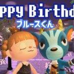 【貢ぎ】ブルースくんの誕生日をお祝いする🎂【あつまれどうぶつの森】