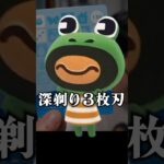 ３枚刃じゃ足りない【ひろちんくん/切り抜き/あつ森】#ひろちんくん #切り抜き #あつ森