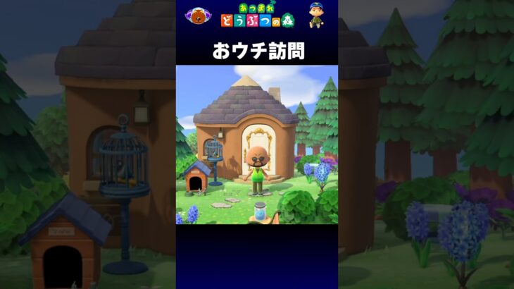 【あつ森】おウチ訪問