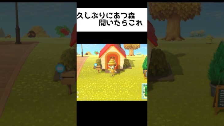 久しぶりにあつ森を開いたらこれ