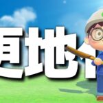【あつ森】平らにする！