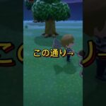あつ森攻略切り抜き「サソリ捕獲作戦」編【自称最強趣味オタはあつ森を攻略中】