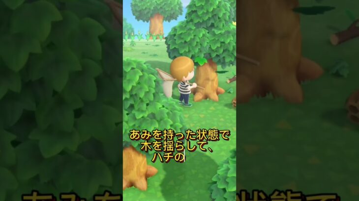 あつ森切り抜き「刺されずにハチを素早く捕まえる技術」編【自称最強趣味オタはあつ森を攻略中】