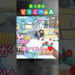 和風島は共通点がたくさんあって楽しいです＊ #ショート #ショート動画 #あつ森 #あつまれどうぶつの森 #どう森 #どうぶつの森 #和風 #和風島 #夢訪問