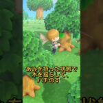 刺されずにハチを素早く捕まえる技術（あつ森攻略プレイショート）