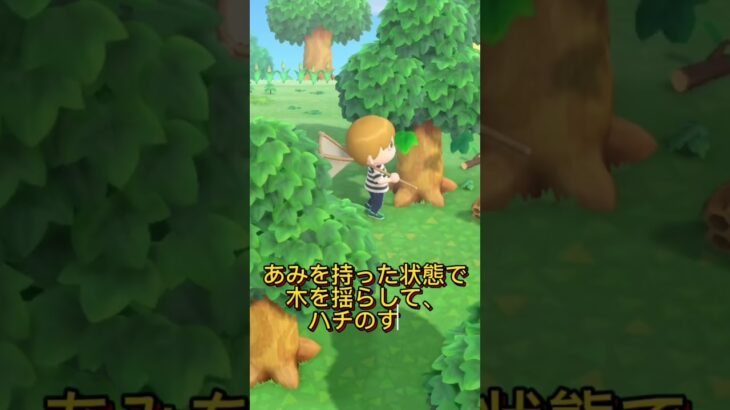 刺されずにハチを素早く捕まえる技術（あつ森攻略プレイショート）