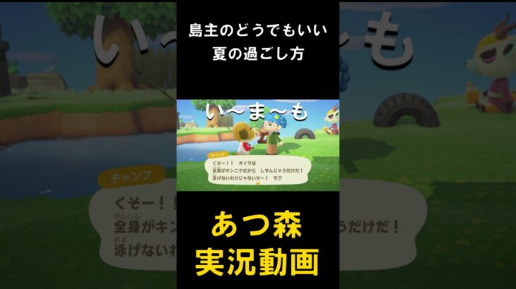 いまさら始めるあつ森実況#あつまれどうぶつの森 #あつまれどうぶつのもり#あつ森 #あつもり #どうぶつの森 #どうぶつのもり #どう森 #どうもり#ゲーム実況 #ゲーム #実況 #あつまれ