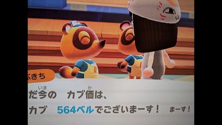 【あつ森】カブ５６４島開放中！誰でも自由に来てください！