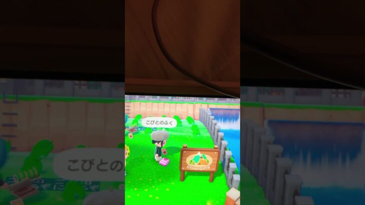 深夜のひでまるさんのあつ森配信に参加したよ
