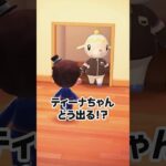 なにがなんでも褒めてくれるティーナさん【あつ森】